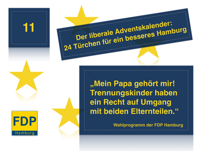 FDP Wahlprogramm Wechselmodell